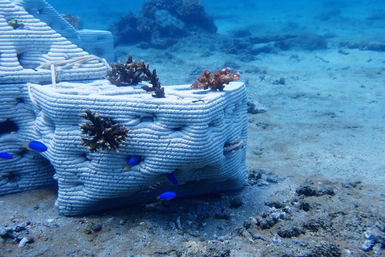 海底砂砱