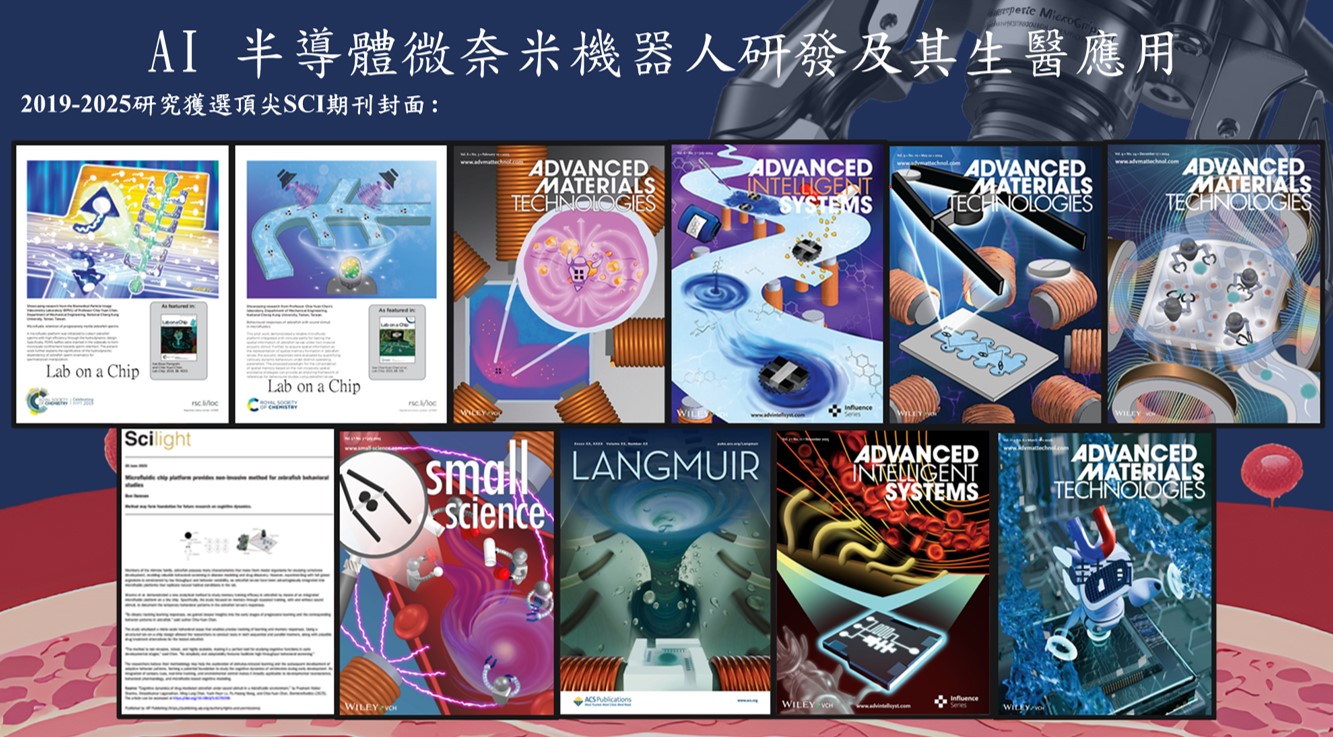 照片4