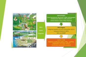 國立成功大學領軍跨國「星地整合」計畫 建構「生物多樣性碳權」驗證體系 展現太空科技與永續治理新典範