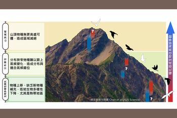 氣候暖化山區物種搭上滅絕電梯？成大研究挑戰經典假說登上頂尖《科學》期刊