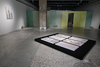 成大舉辦《軟性構建 Soft Construction》廖昭豪 × 洪瑄雙個展