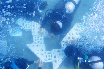 「循環澎湖」砂砱 3D 開啟復育新篇章　展現臺灣島嶼永續設計實踐力