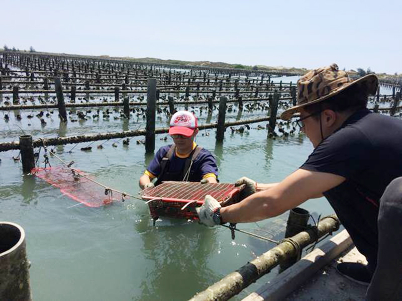 成大濱海USR團隊協助在地漁民提升牡蠣產業競爭力